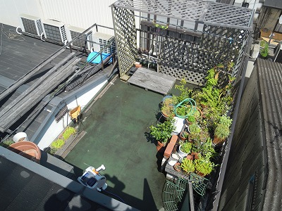 東大阪市高井田　Y様邸　雨漏り修理工事