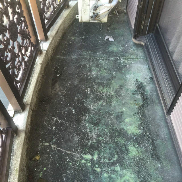 東大阪市　F様邸　雨漏り修理工事