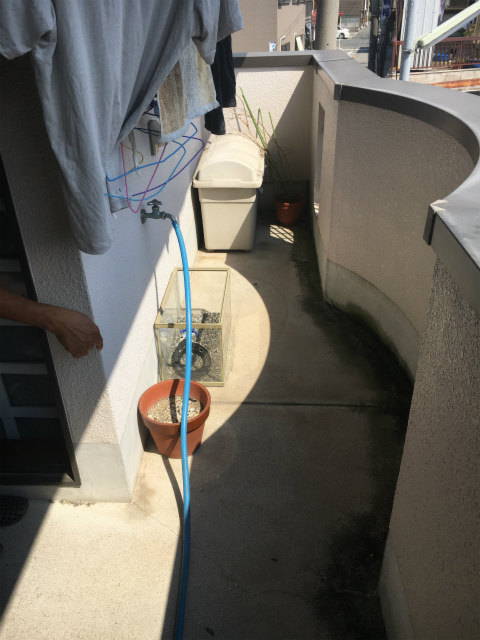 住吉区　W様邸　ベランダ防水工事