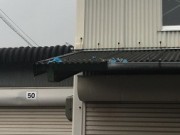 天理市M様邸　ガレージ屋根・樋修理工事