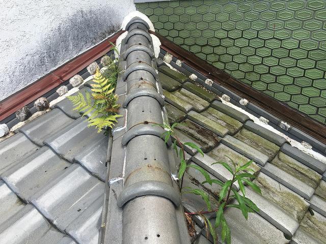 御所市小高様邸　下屋葺き替え工事