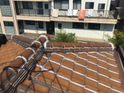 大和高田市行天様　雨漏り修理工事