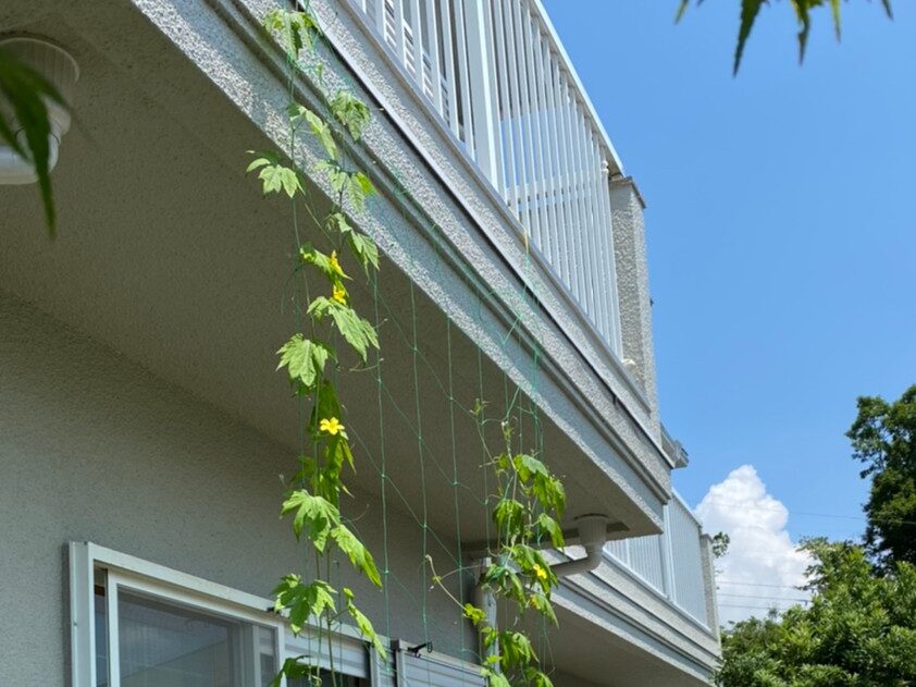 足場工事