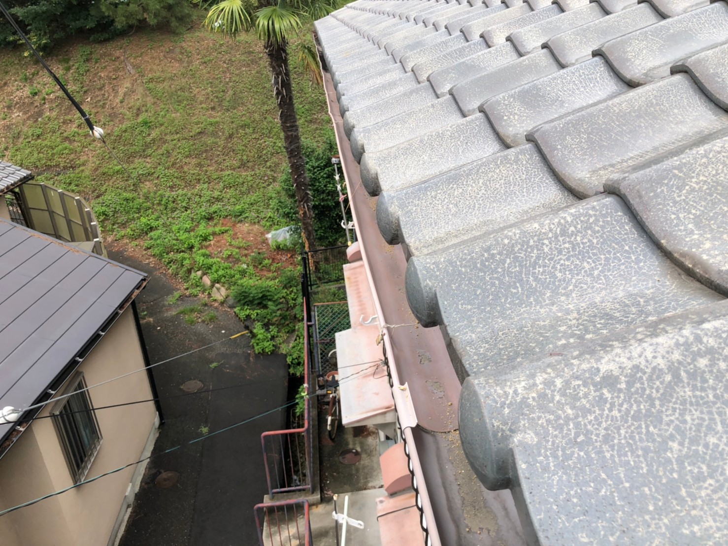 雨とい掃除
