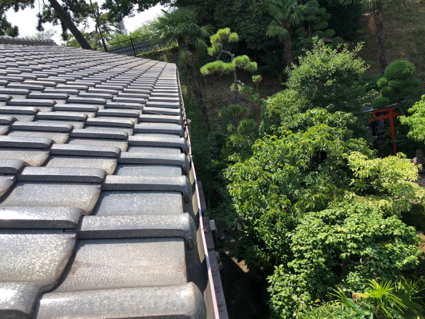 雨とい掃除