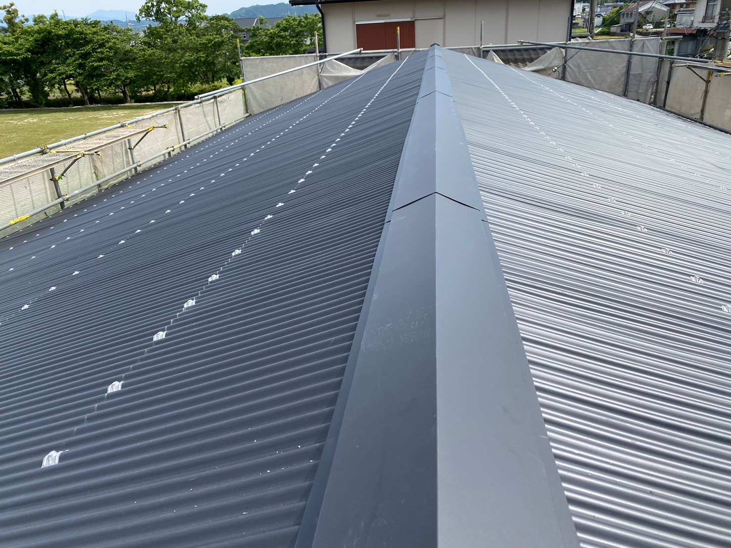 屋根波板カバー工事