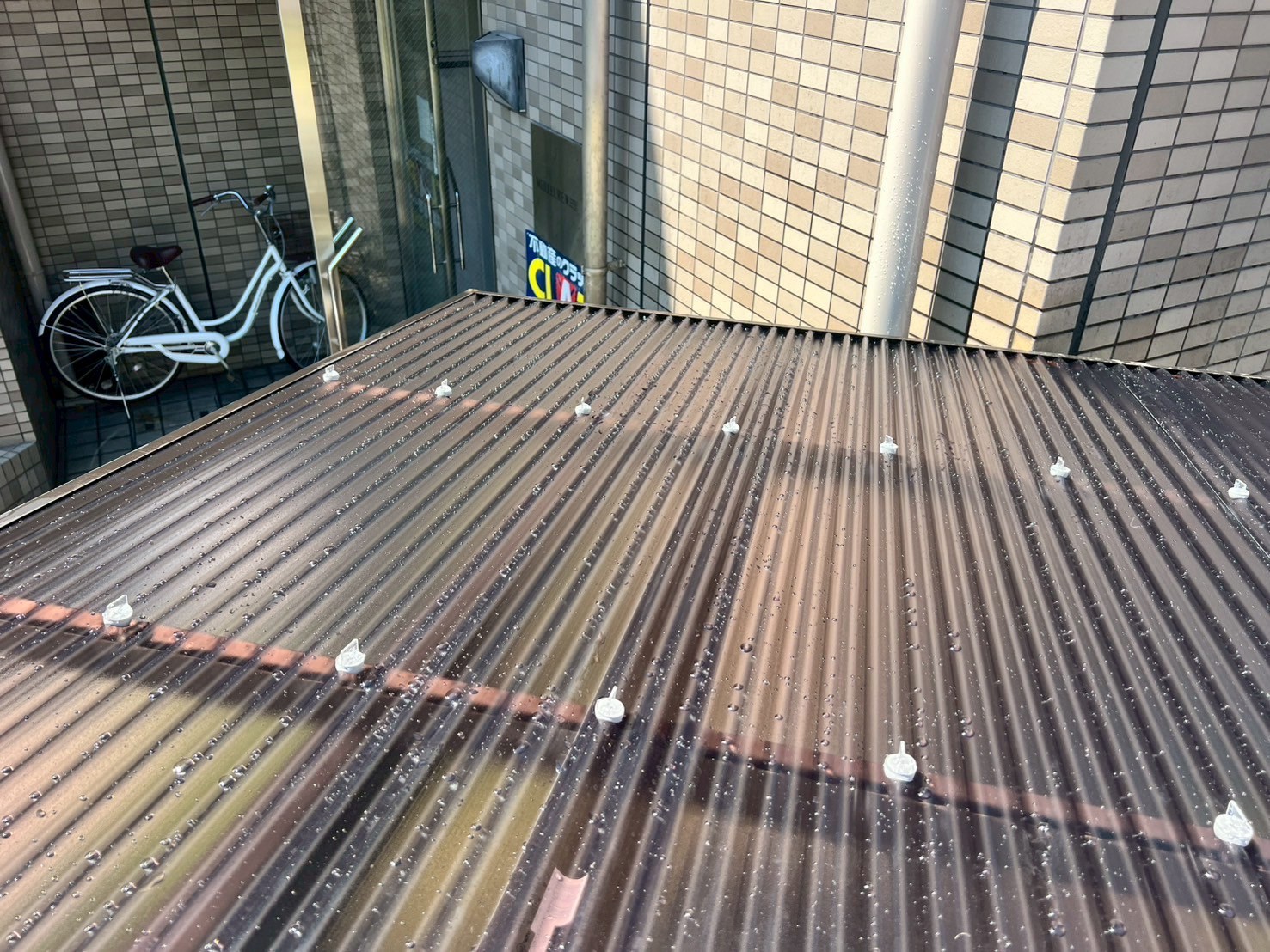 最終確認