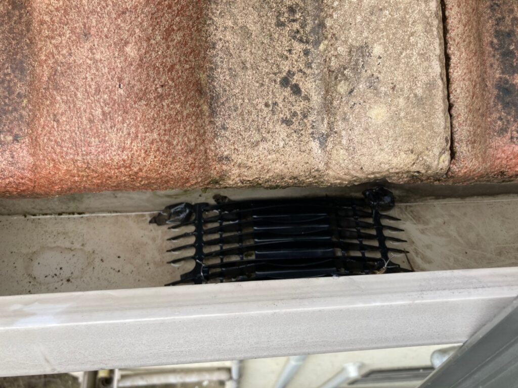 宝塚市　K様邸　トユ掃除、裏側テラスパネル掃除、瓦割れ部分修理