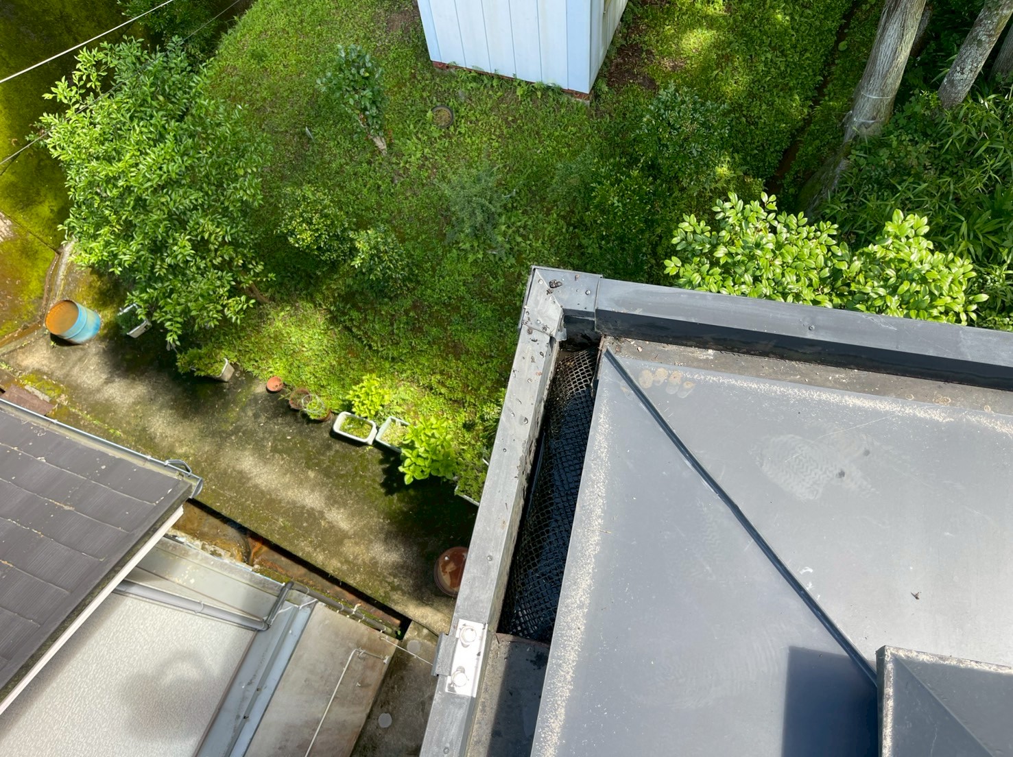 雨とい掃除
