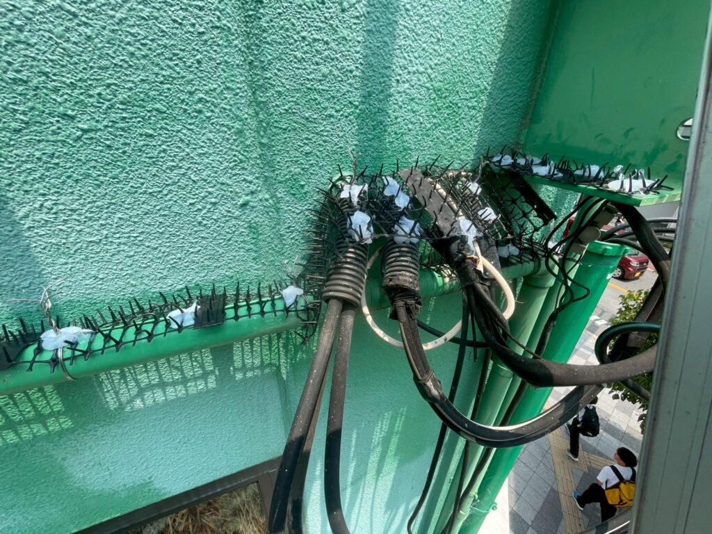 R7.7/4 豊中市　S様　鳥除け工事