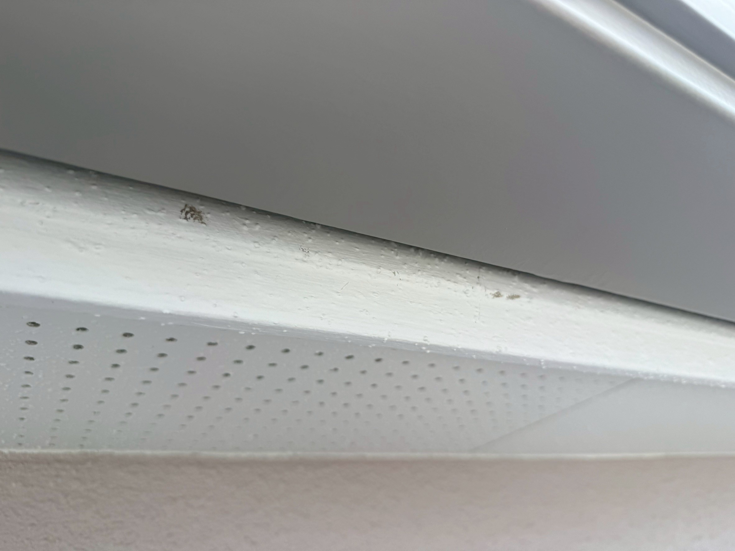 付帯部塗装工事