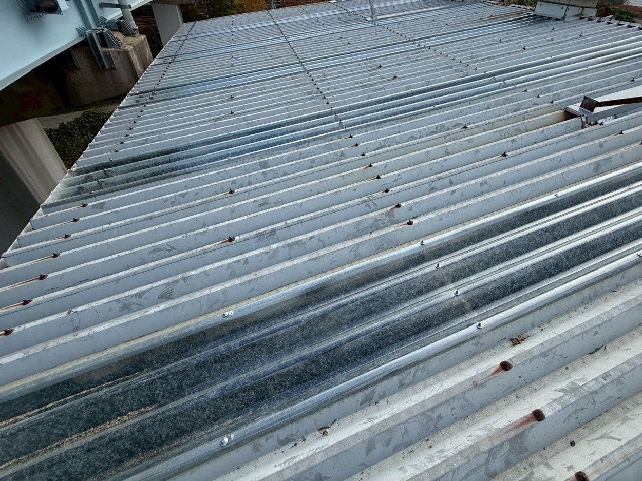 明り取り入れ替え工事