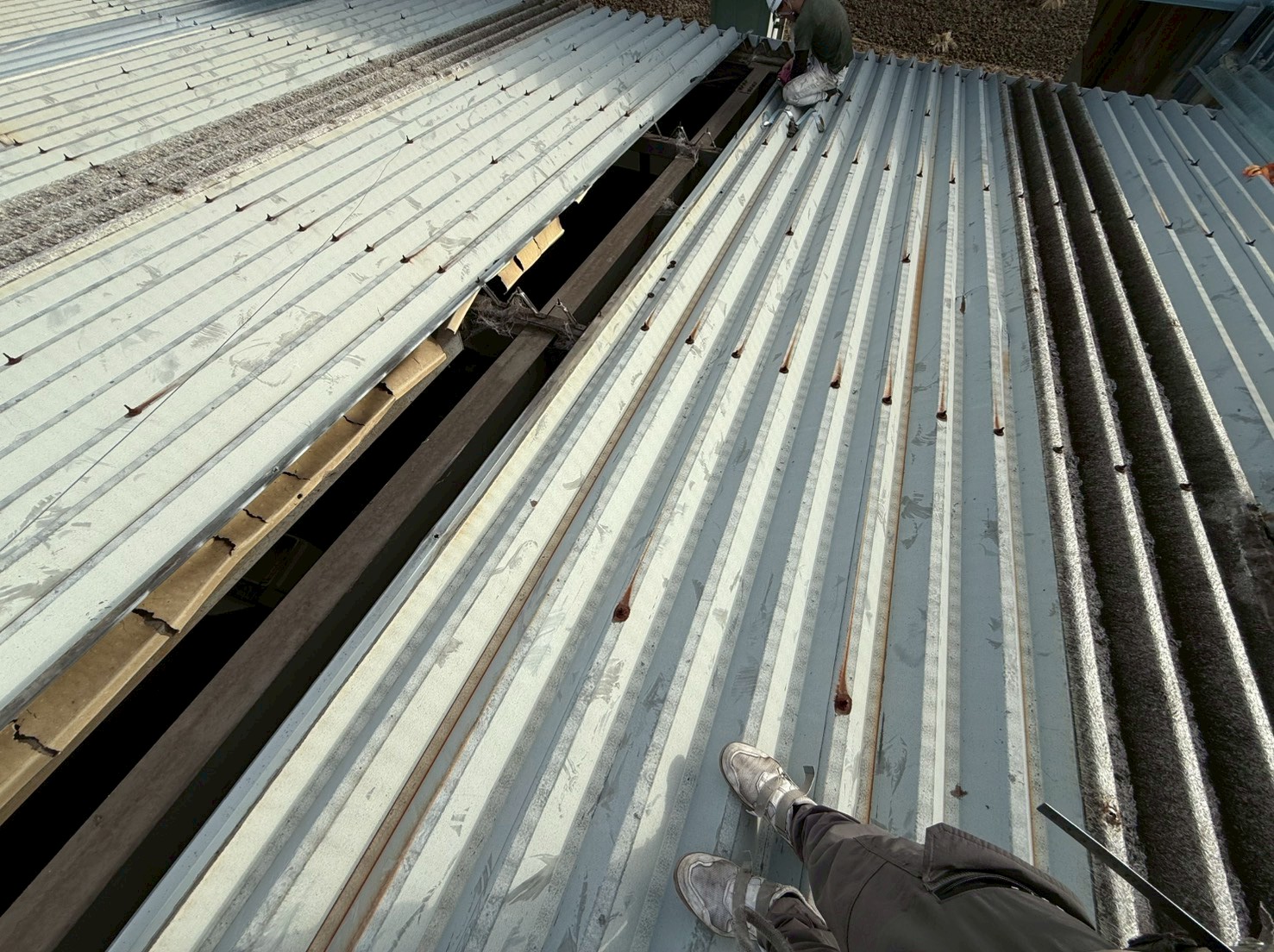 明り取り入れ替え工事