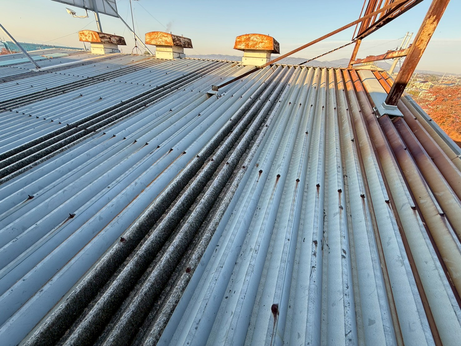 明り取り入れ替え工事