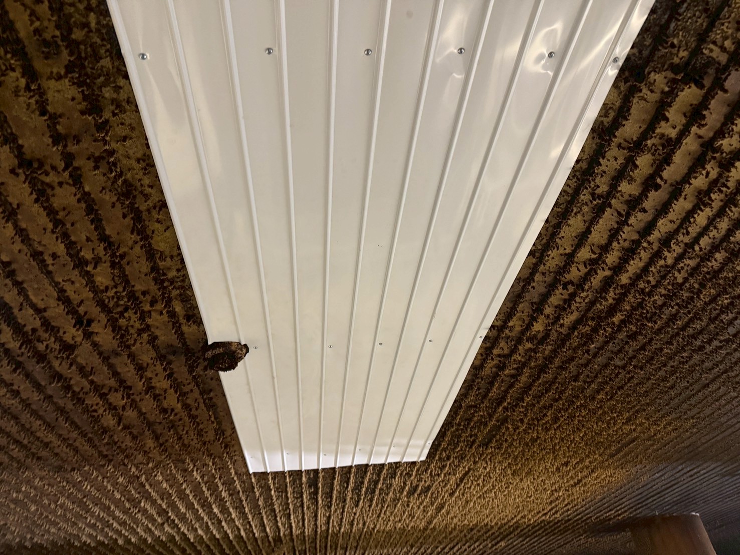 部分天井張り替え工事