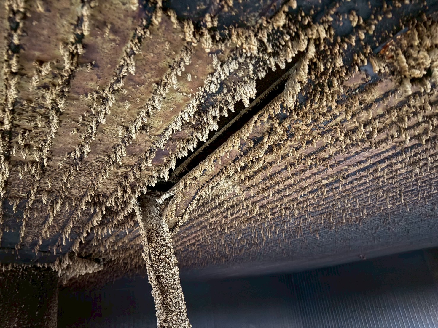 部分天井張り替え工事