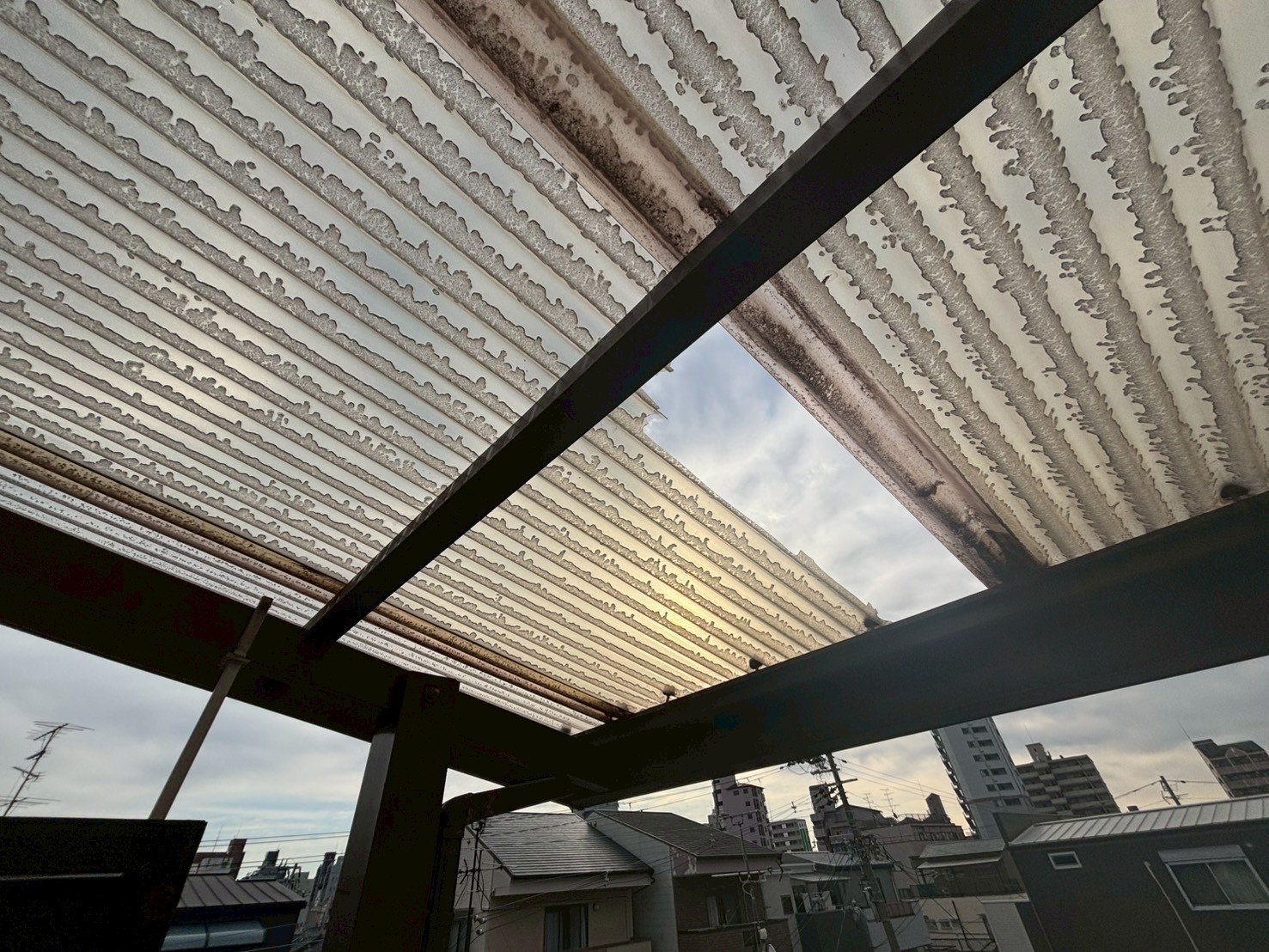 ポリカ張り替え工事