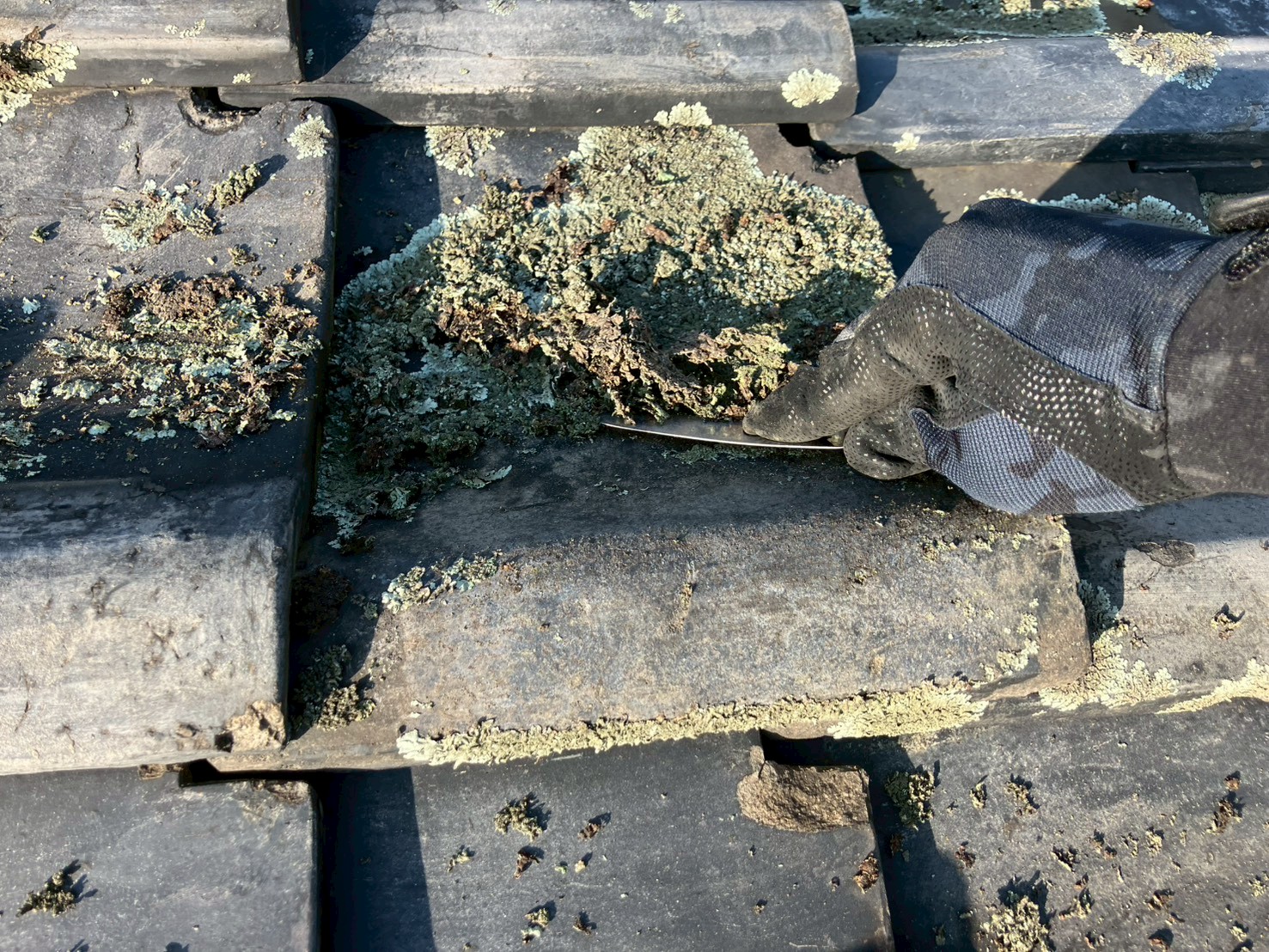 屋根粘着ゴムアス2重張り工事