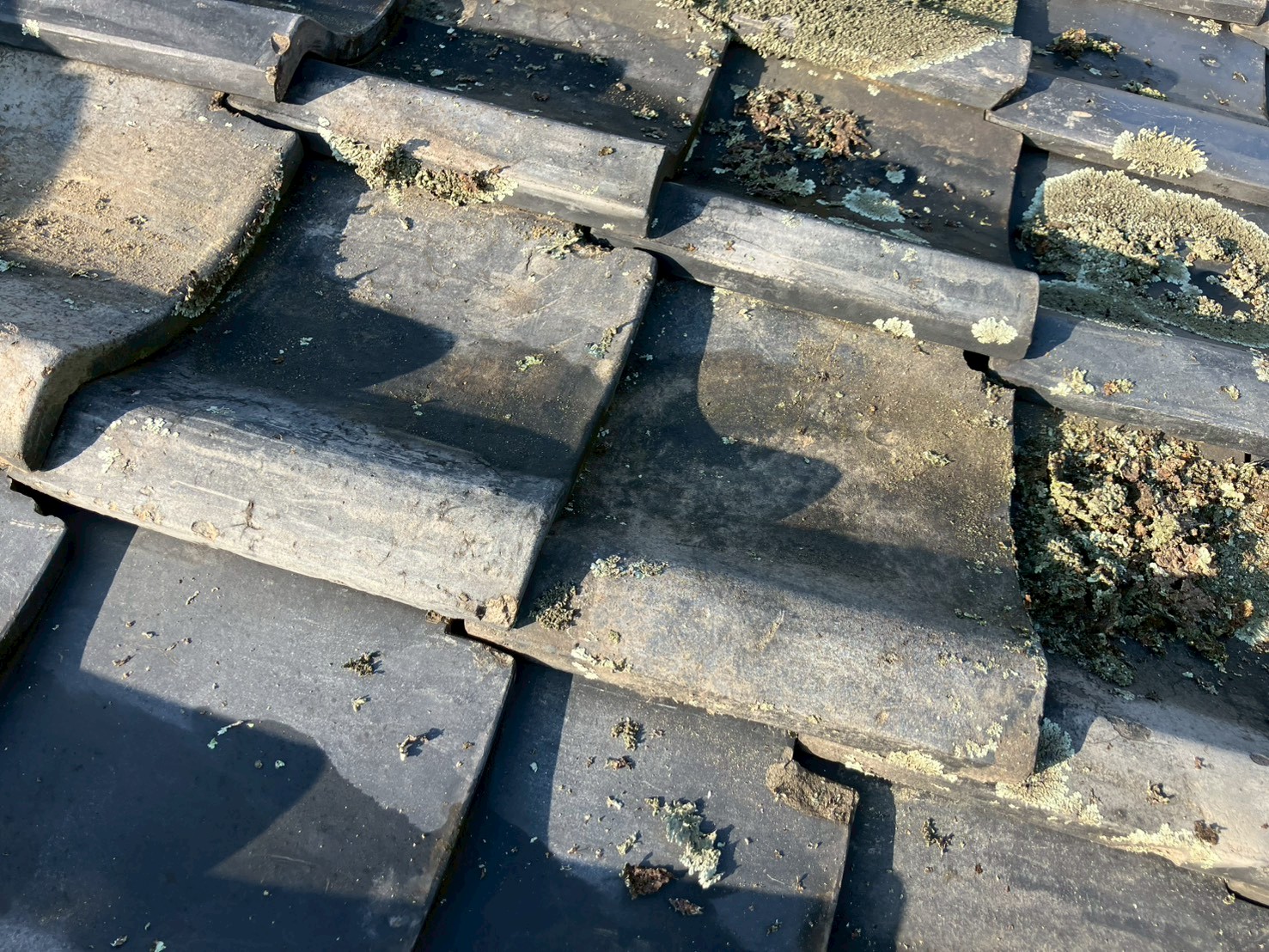 屋根粘着ゴムアス2重張り工事