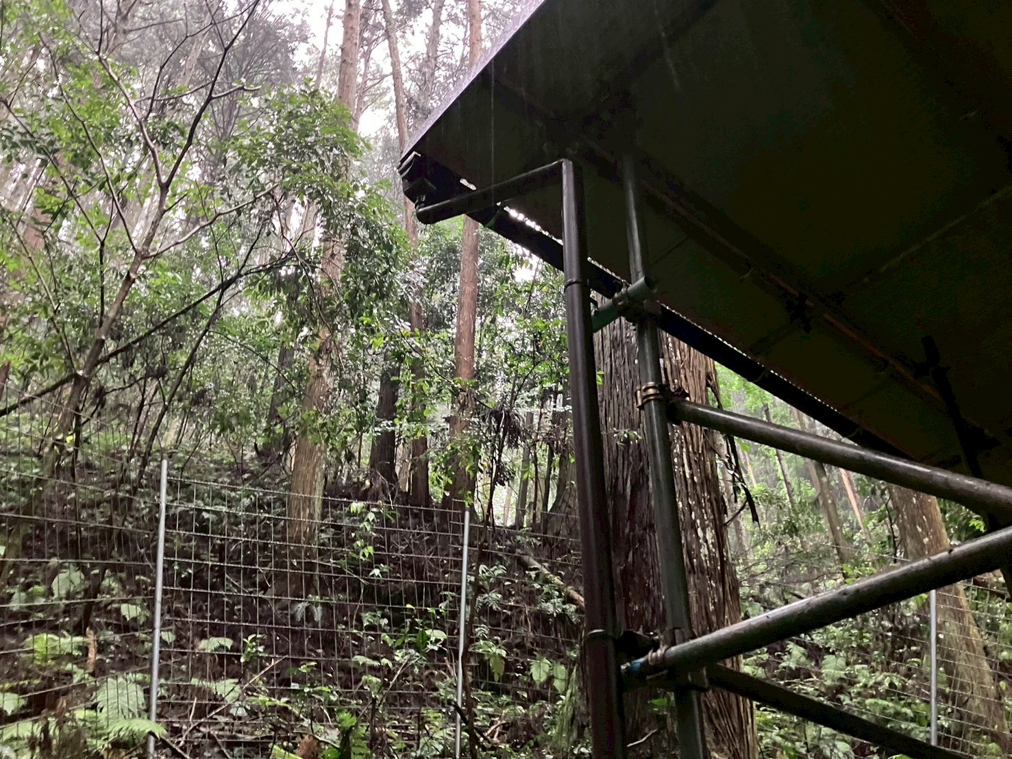 祠屋根工事