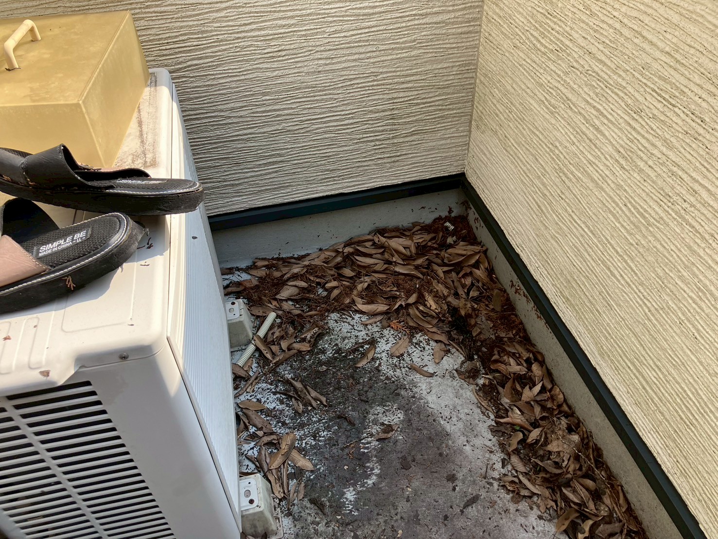 雨とい掃除
