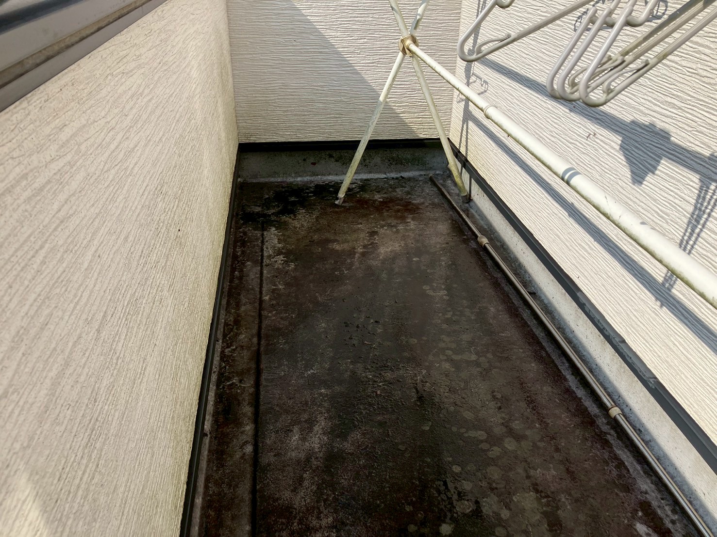 雨とい掃除