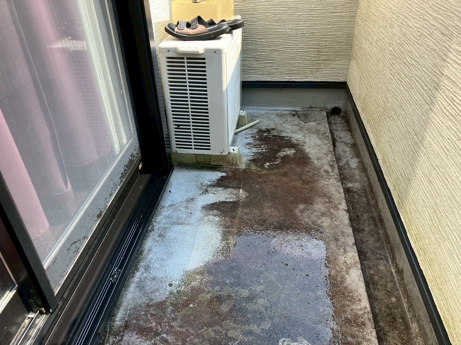 雨とい掃除