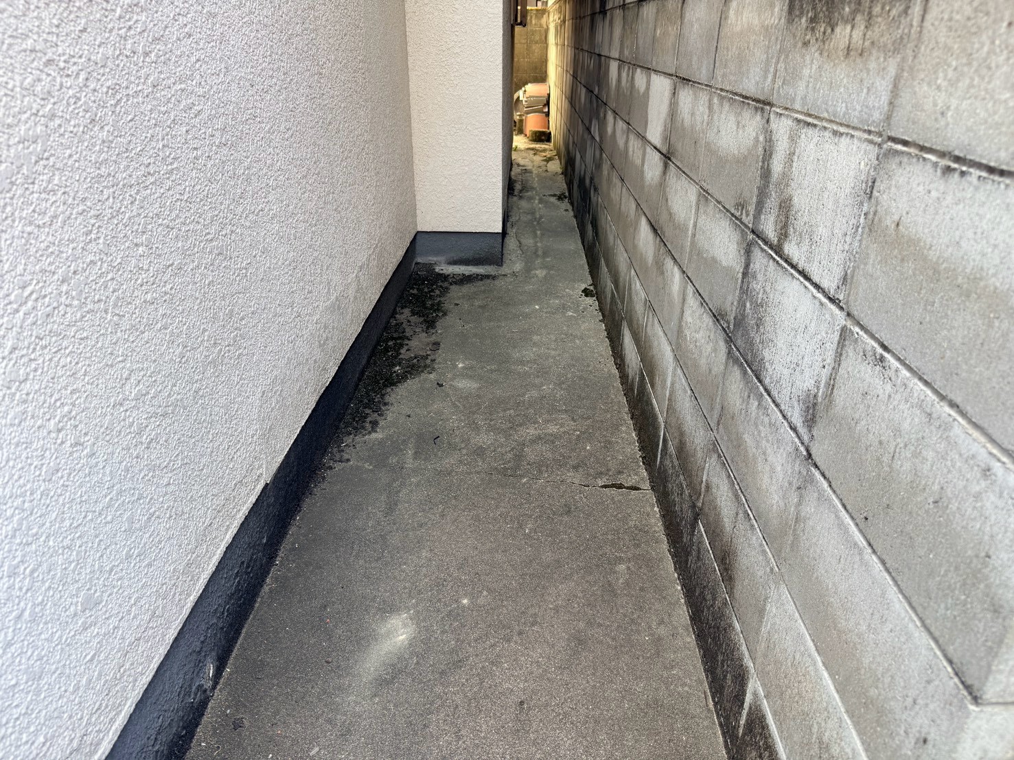 清掃