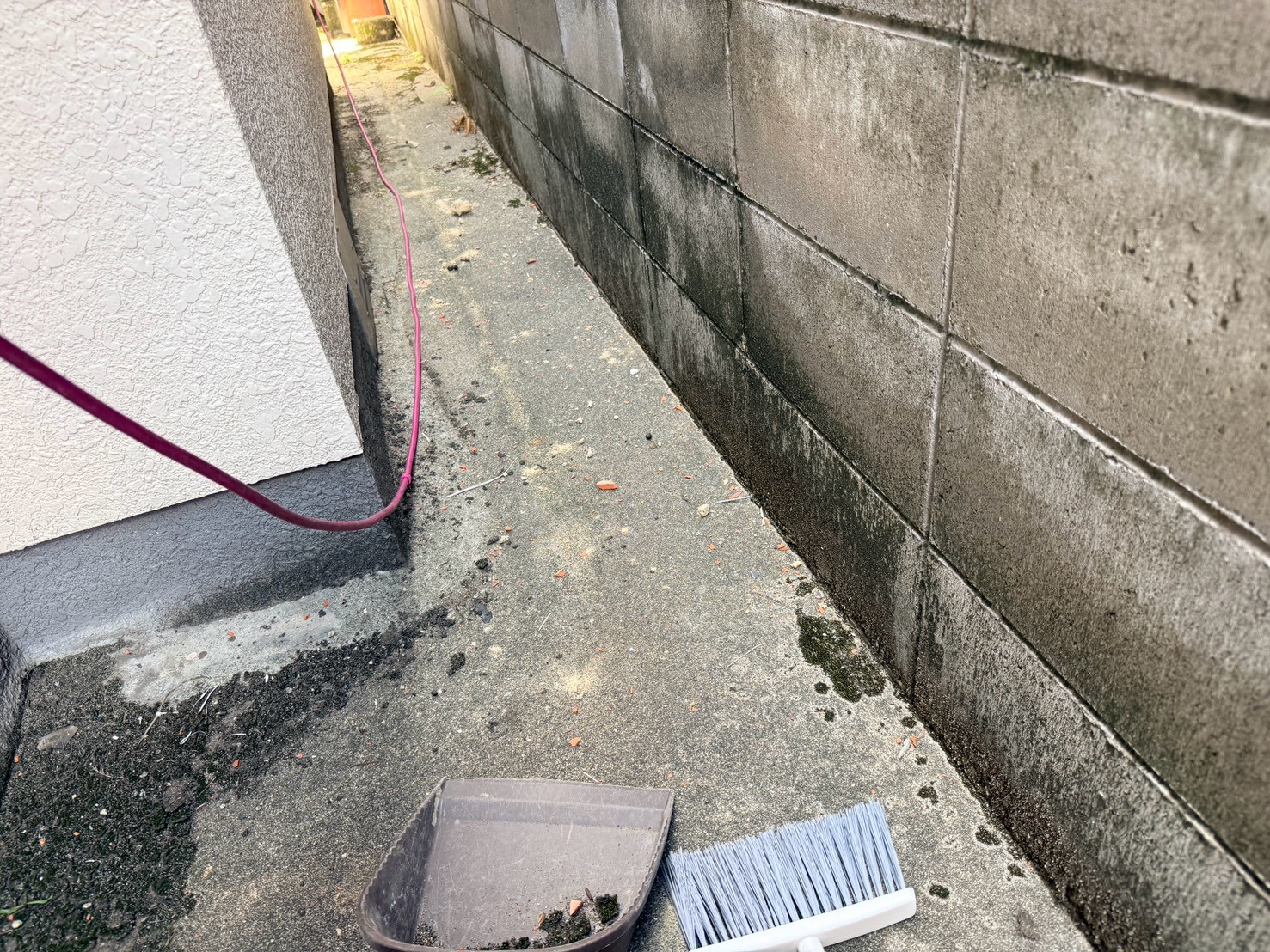 清掃