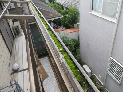 トユ掃除