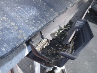 トユ掃除