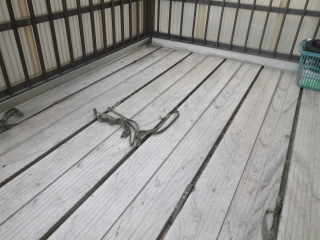 ベランダ掃除