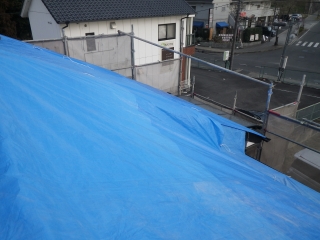 養生
