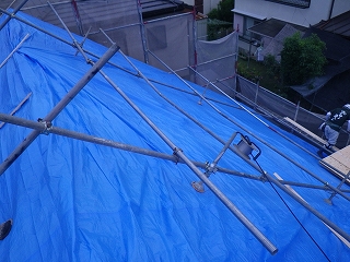 養生