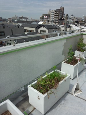 ベランダ(内側)塗装工事
