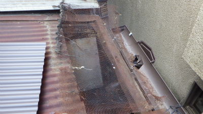テラス屋根補修工事