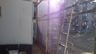 雨漏り補修工事