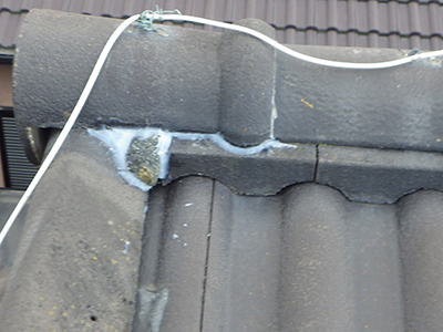 屋根 雨漏り補修工事