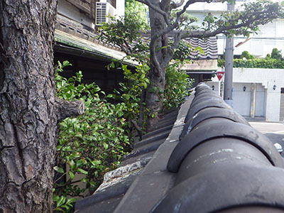 外塀 屋根補修工事