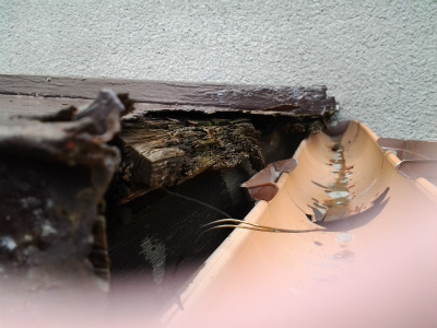 屋根葺き替え工事