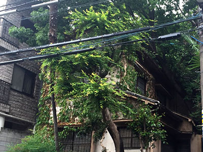 屋根補修工事