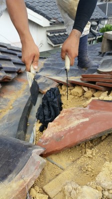 谷入れ替え工事