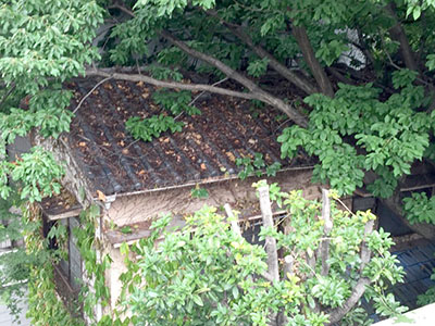 屋根補修工事