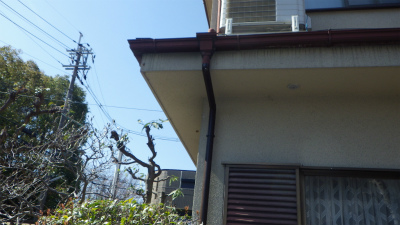 樋補修工事