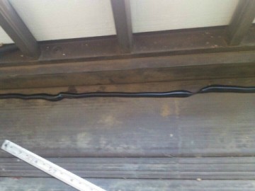 雨漏り修理工事