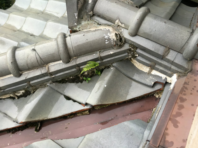屋根修理工事