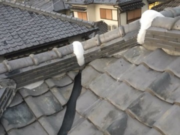 谷入替え工事