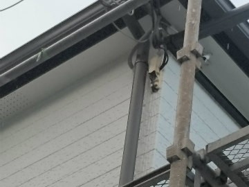 樋工事