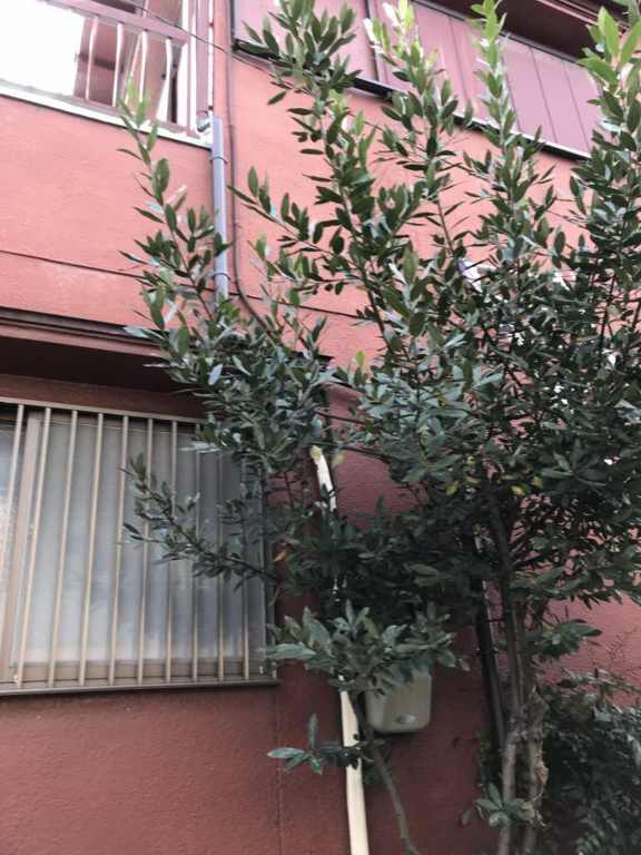 樋工事