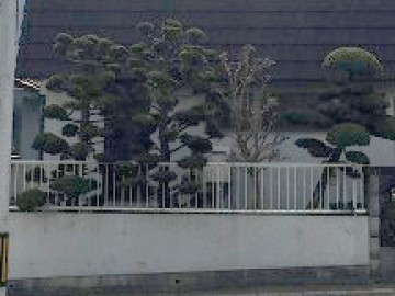 塀塗装工事